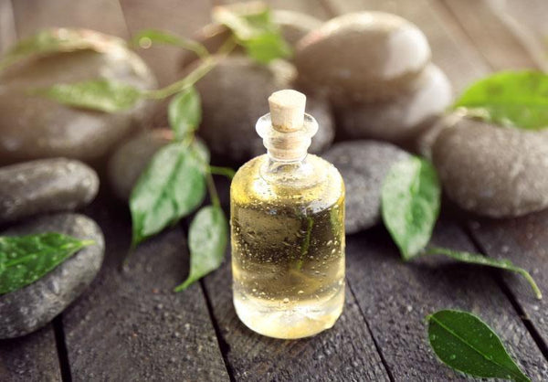 5 Best Carrier Oils for Anti-Aging and Vibrant Skin
