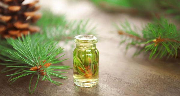 How Essential Oils Benefit the Brain