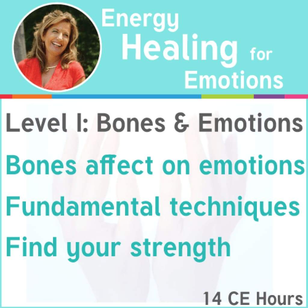 Workshop I: Energy Healing for Emotions Level I: Bones & Foundation - $1997.00 (2)
